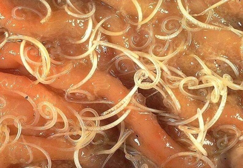 Altofalantes